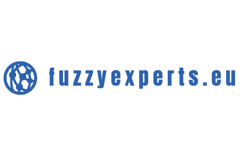 Fuzzy Experts